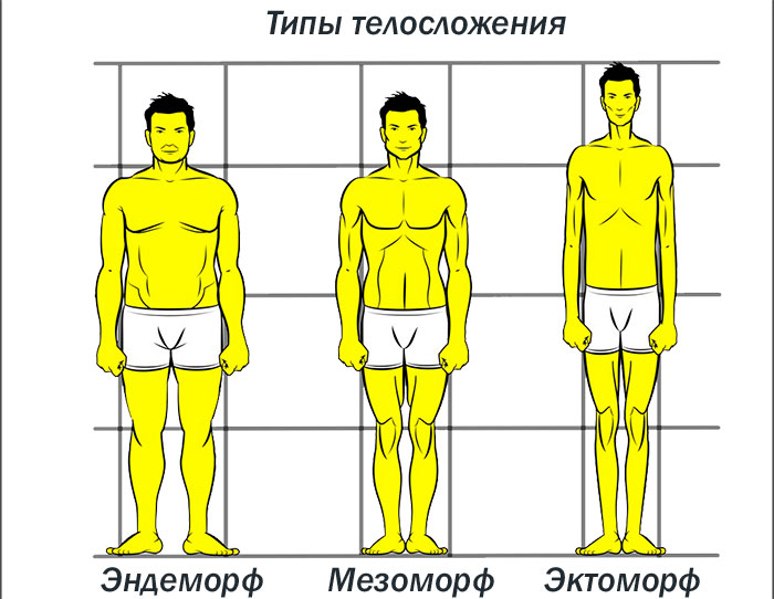 Типы телосложения