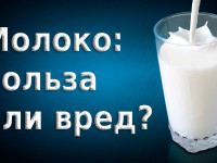 Молоко – польза или вред?