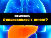 6 шагов к улучшению работы печени и ее функций