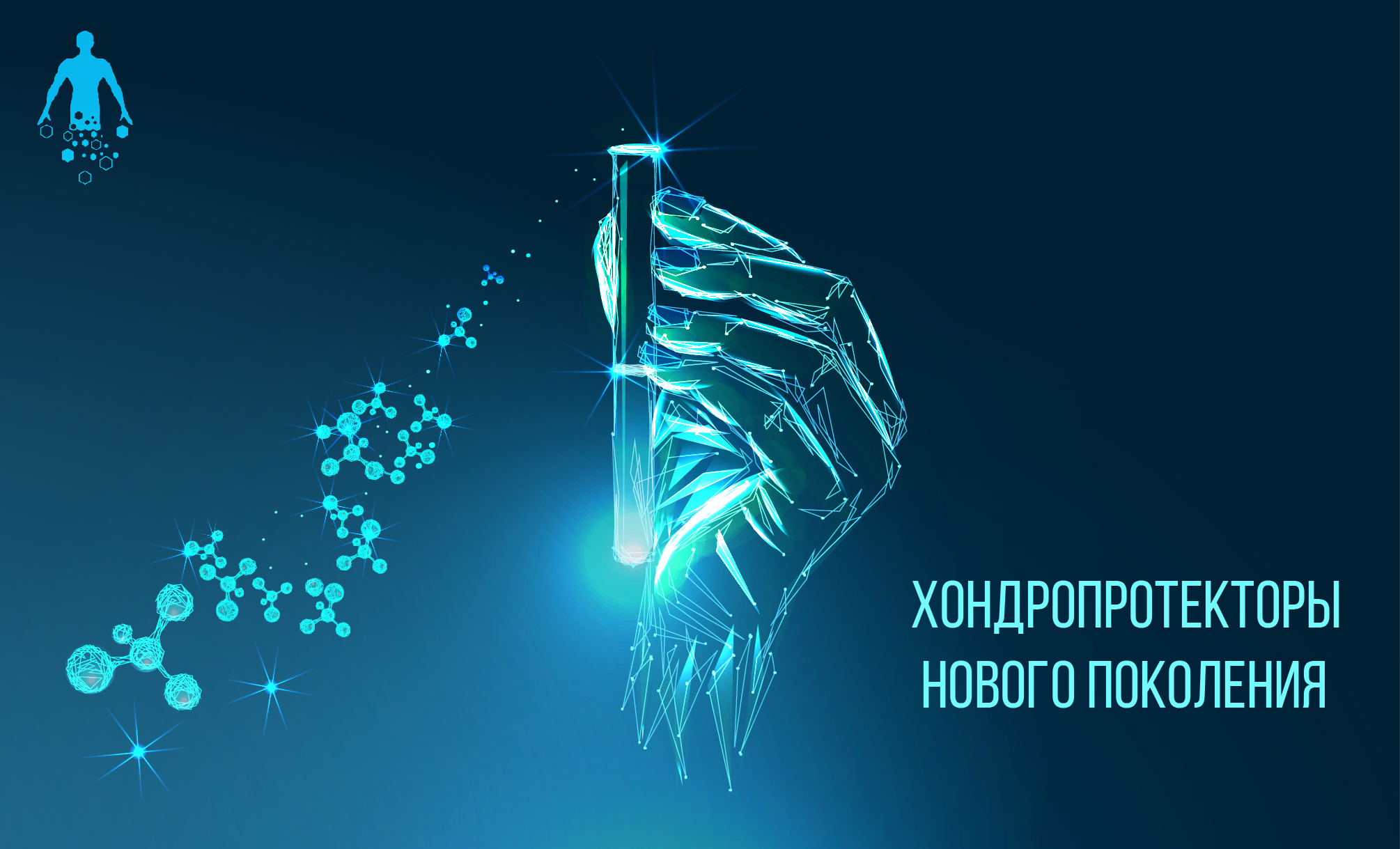 Хондропротекторы нового поколения