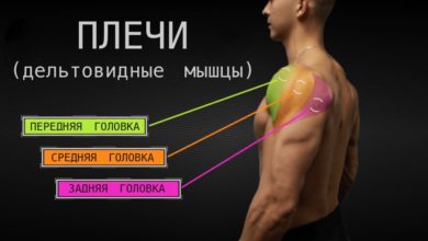 Как правильно качать плечи